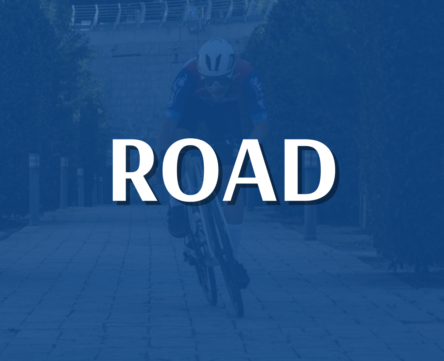 Road Bikes & Accessories